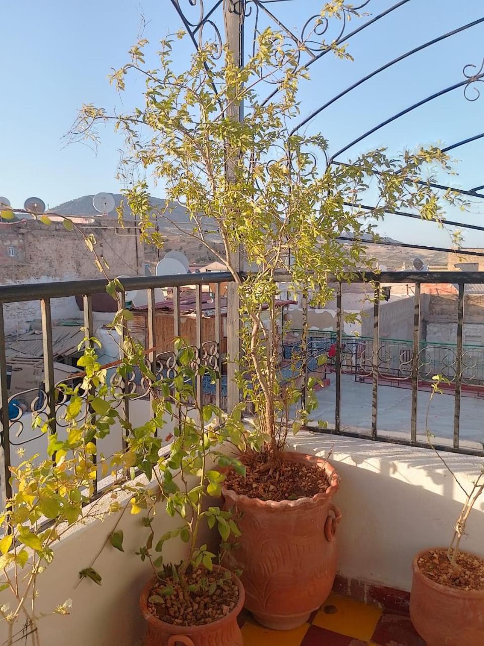 Riad Drissia Panoramic เฟส ภายนอก รูปภาพ